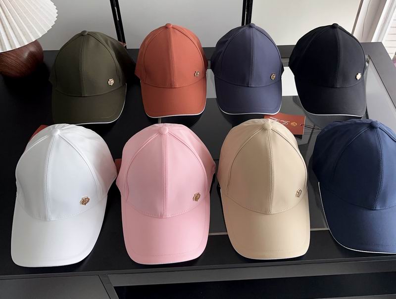 Loro Piana cap dx20